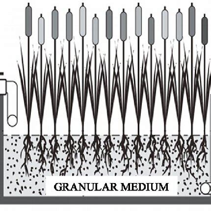 Image result for Subsurface Water Flow