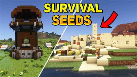 Image result for Good Survival Seeds Java