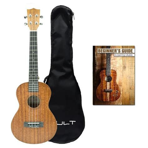 Buy Vault UK 100 Tenor Ukulele Online With Gig Bag | Bajaao – BAJAAO.COM