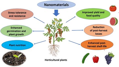 Novel Approaches for Sustainable Horticultural Crop Production ...