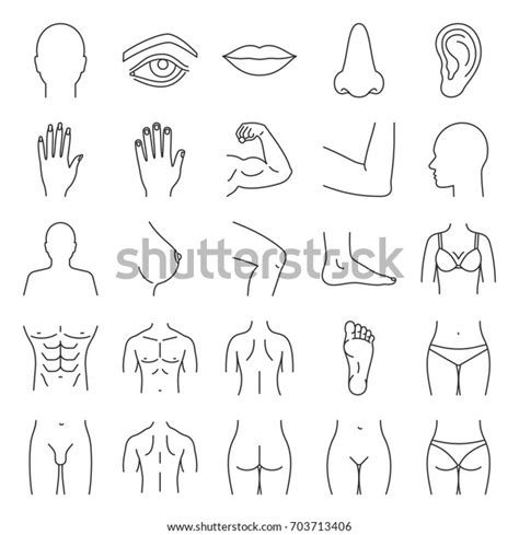 Image result for Drawing Body Parts Using Shapes
