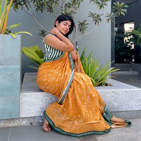 Quirky Cotton Printed Saree Online I Bird of Paradise – The Thread Weavers
