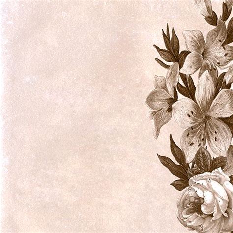 Image result for Basic Page Background