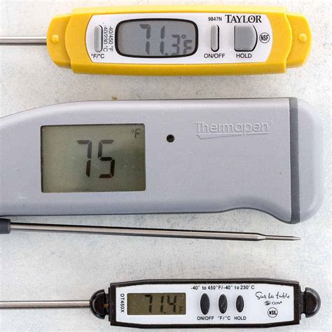 Best Instant Read Thermometers for 2025 - Jessica Gavin