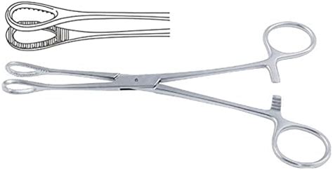 Reviti® by Hospiclub Sponge Holder Medical Forcep (10 Inch) : Amazon.in ...