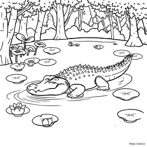 Free Printable Crocodile Coloring Pages