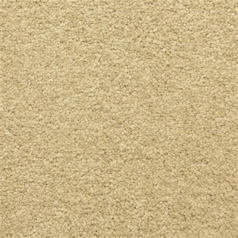 STAINMASTER (Sample) LiveWell Classified Cambric Textured Carpet at ...