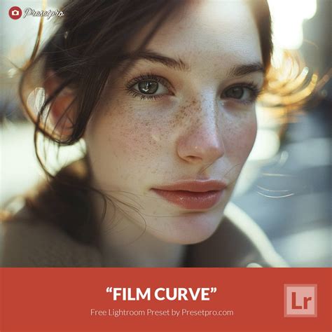 Free Lightroom Preset | Film Look - Presetpro.com