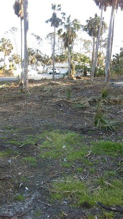 Hunting Island State Park (Beaufort) - What to Know Before You Go (with ...