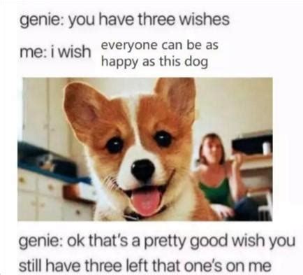 Happy doggo : r/wholesomememes