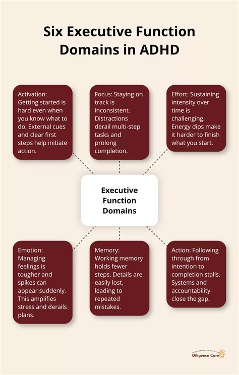 ADHD Executive Dysfunction: Medication and Treatment - Diligence Care Plus