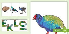 New Zealand Bird Display Posters (teacher made) - Twinkl