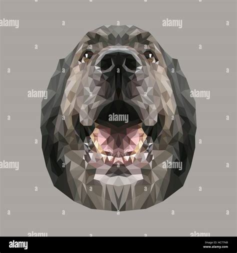 Sharr Mountain dog low poly design. Triangle vector illustration Stock ...