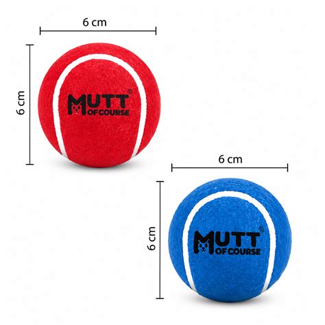 Squeaky Fetch Balls - Set of 2 – Mutt of Course