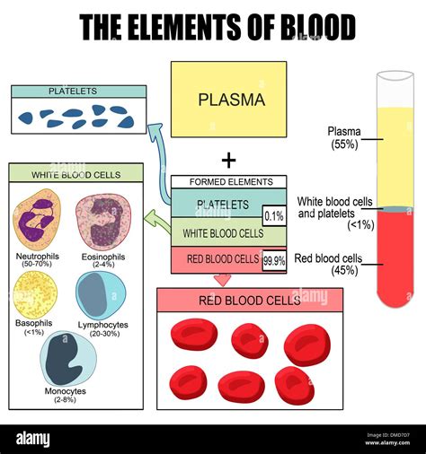 The elements of blood Stock Vector Art & Illustration, Vector Image: 64215459 - Alamy