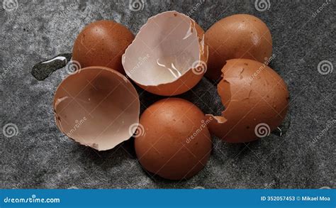 Image result for Outer Shell Egg