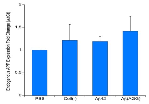 Spreading of Beta-Amyloid in Organotypic Mouse Brain Slices and ...