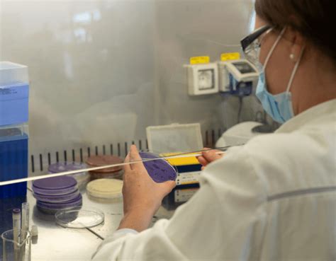 Biotech Laboratory Design 的图像结果