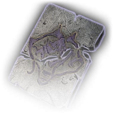 Rune of the Wolf - bg3.wiki