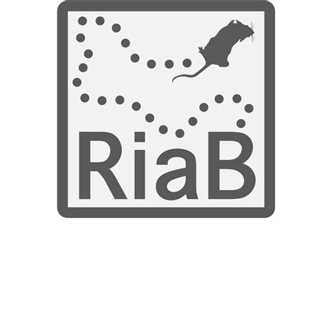 Example scripts — ratinabox