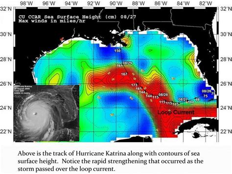 Image result for Loop Current