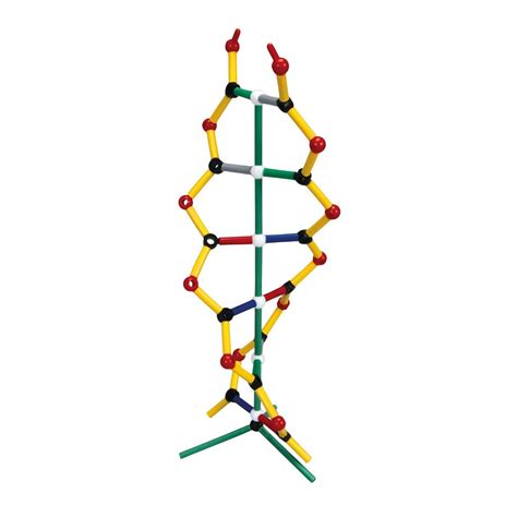 DNA Model Kit 的图像结果