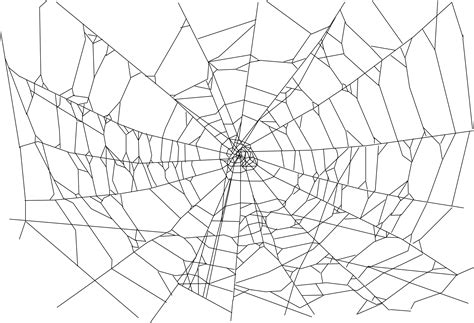 Spider Web File Transparent HQ PNG Download | FreePNGimg