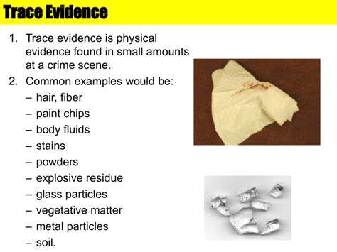 Image result for Trace Evidence Collection