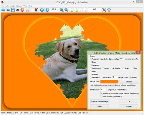 IrfanView Software 的图像结果