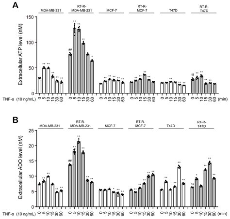 Increased Extracellular Adenosine in Radiotherapy-Resistant Breast ...