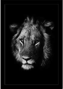 Portrait Of A Lion Framed Art Print Paper Print - ArtzFolio.com posters ...