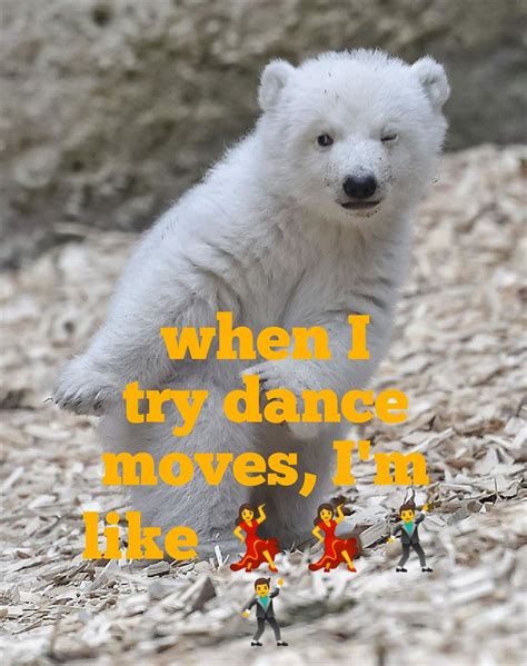 Dancing Polar Bear Meme