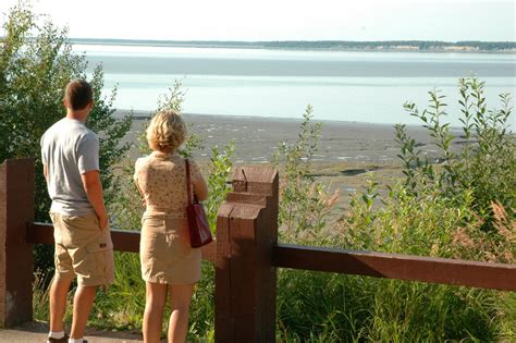 Earthquake Park | Things to Do In Anchorage | ALASKA.ORG