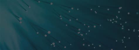 Relativity Document Review Tutorial 的图像结果