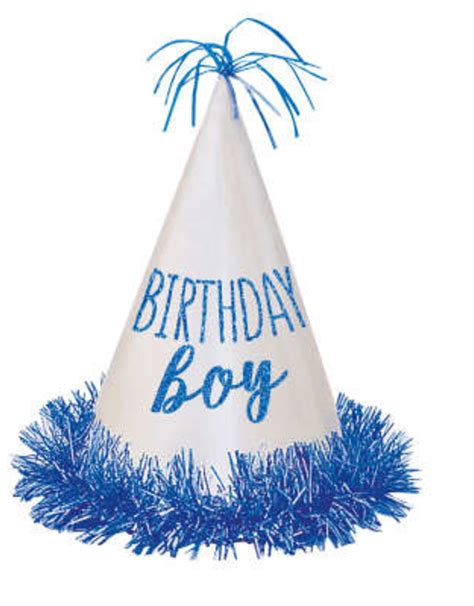 Birthday Boy Party Hat