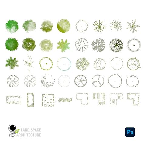 Photoshop tree and shrub brushes set (.abr) – LandSpace Architecture