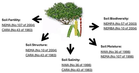 Consequences of Invasive Prosopis (Mesquite) on Vegetation, Soil Health ...