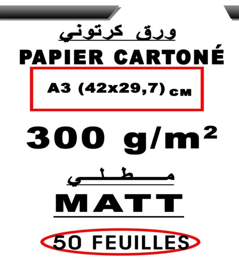 Tanjashop.com - Papier 300g/m² cartonné A3 Matt pour impression (50 ...
