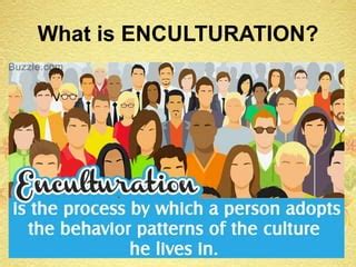 Image result for Enculturation Examples