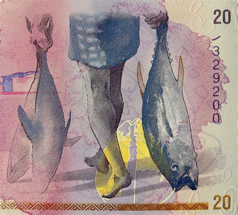 Maldives money 2015 polymer banknote 20 Rufiyaa Fisherman