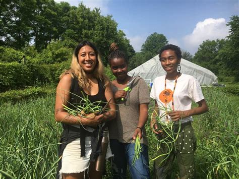 Volunteer at D-Town Farm Every Weekend, D Town Farms, Redford, 18 May ...