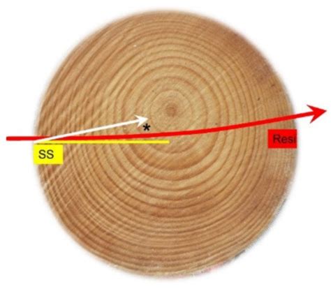 A Comparison of Radial Wood Property Variation on Pinus radiata between ...
