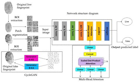 LFLDNet: Lightweight Fingerprint Liveness Detection Based on ResNet and ...