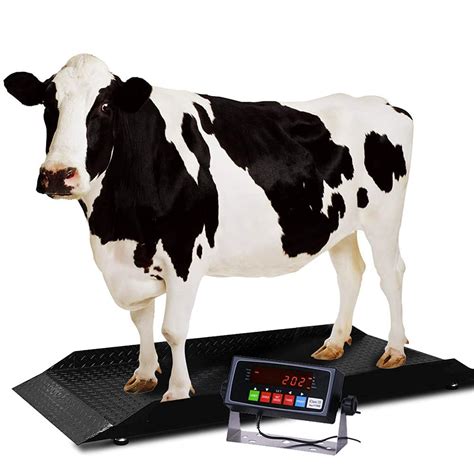 Buy PEC Scales Large Farm Animal Scale/Digital Livestock Weighing ...