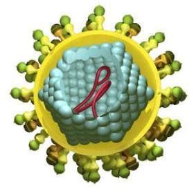 Hepatitis B Virus - Part 3 - Anti-HBS Screening (for blood donor and ...