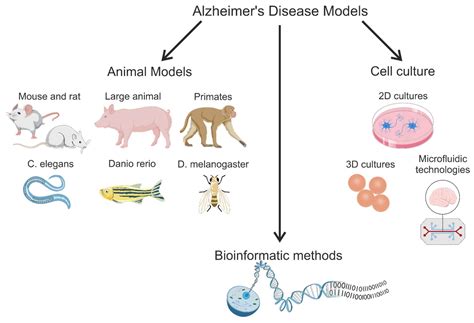 Modeling Alzheimer’s Disease: A Review of Gene-Modified and Induced ...