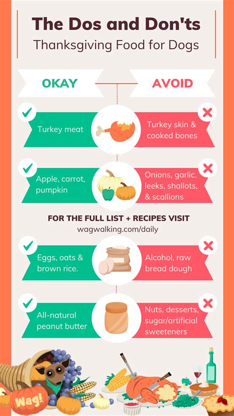 5 Thanksgiving Foods That Are Safe For Your Dog