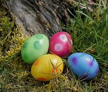 Image result for Easter Bunnies with Eggs