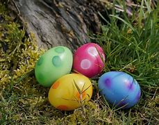 Image result for Rabits Easter
