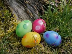 Image result for Baby Chick Easter Egg